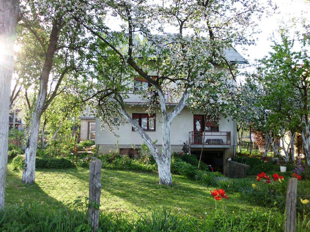Guest House Krga Korenica Exterior photo